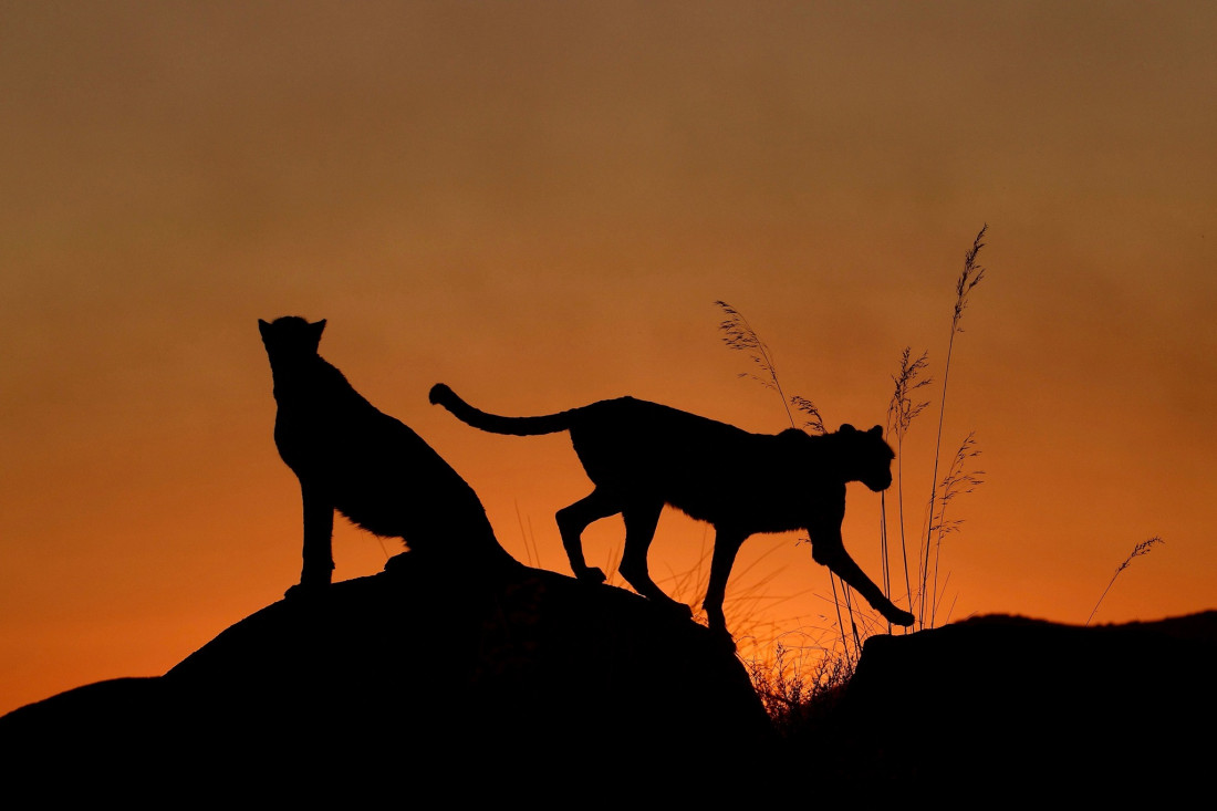 Sylvia Furrer Photo-Image