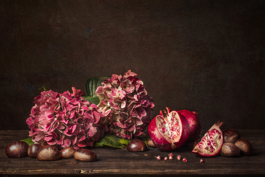 Sara Ghedina 1 Photo-Image