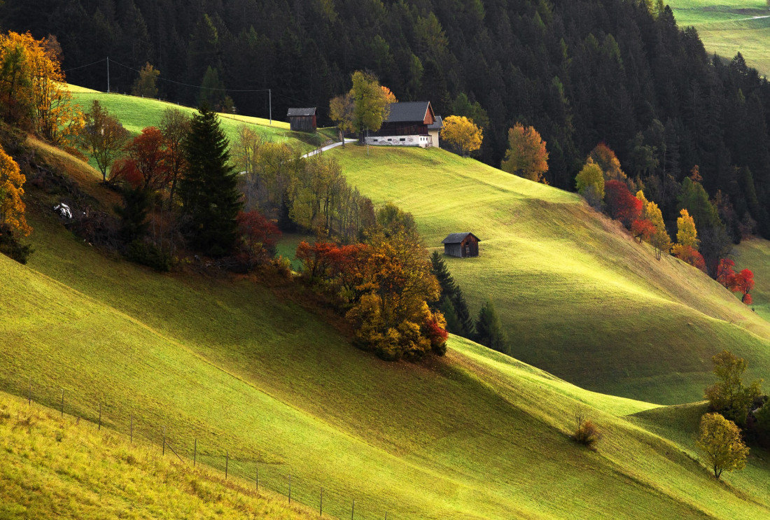 Alex Polli Photo-Image