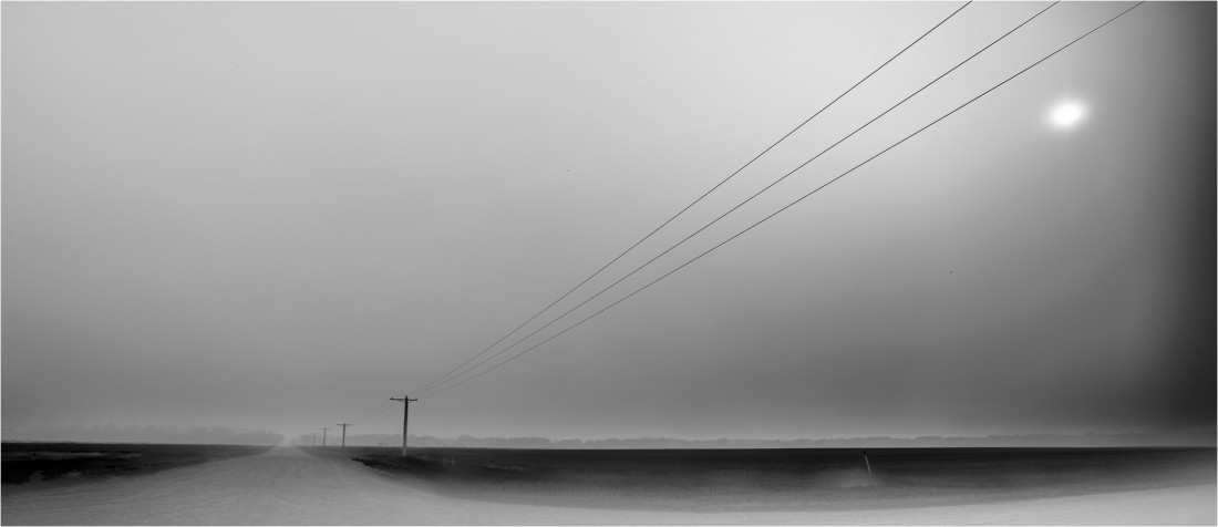 Under The Sign Of The White Rose Photo-Image