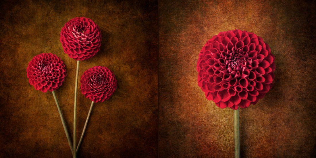 Sara Ghedina 2 Photo-Image