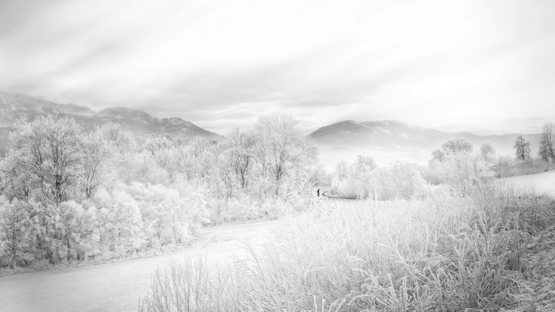 ines_maria (flickr) Photo-Image