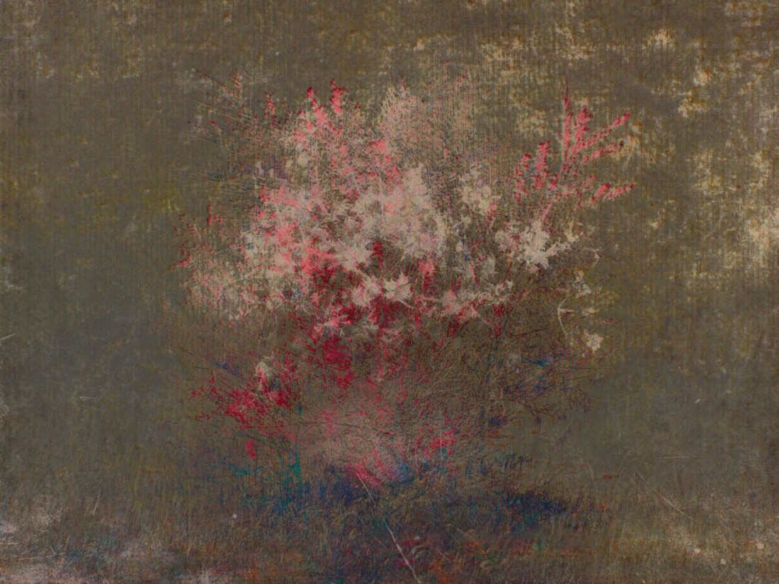 Eva Arendt Photo-Image