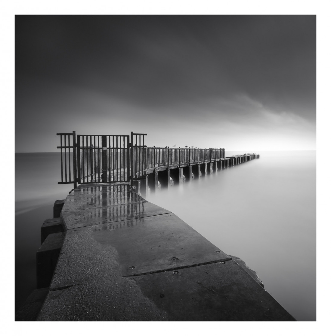 Under The Sign Of The White Rose Photo-Image