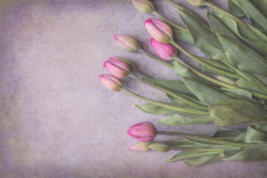 Sara Ghedina 2 Photo-Image