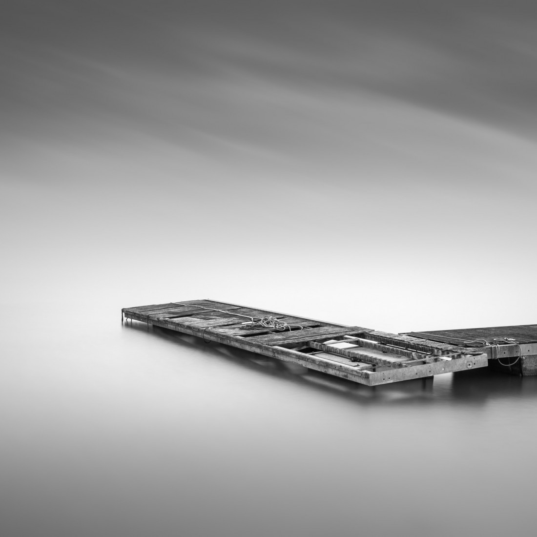 Under The Sign Of The White Rose Photo-Image