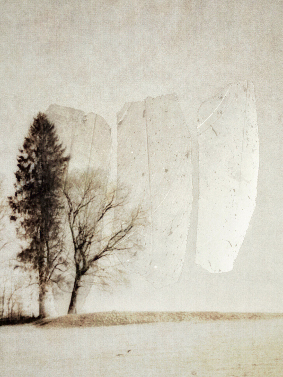 Eva Arendt Photo-Image