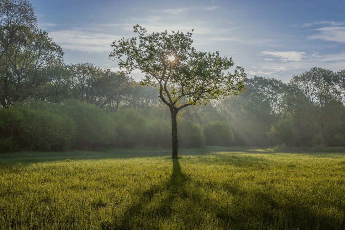 Paul Benns Photo-Image