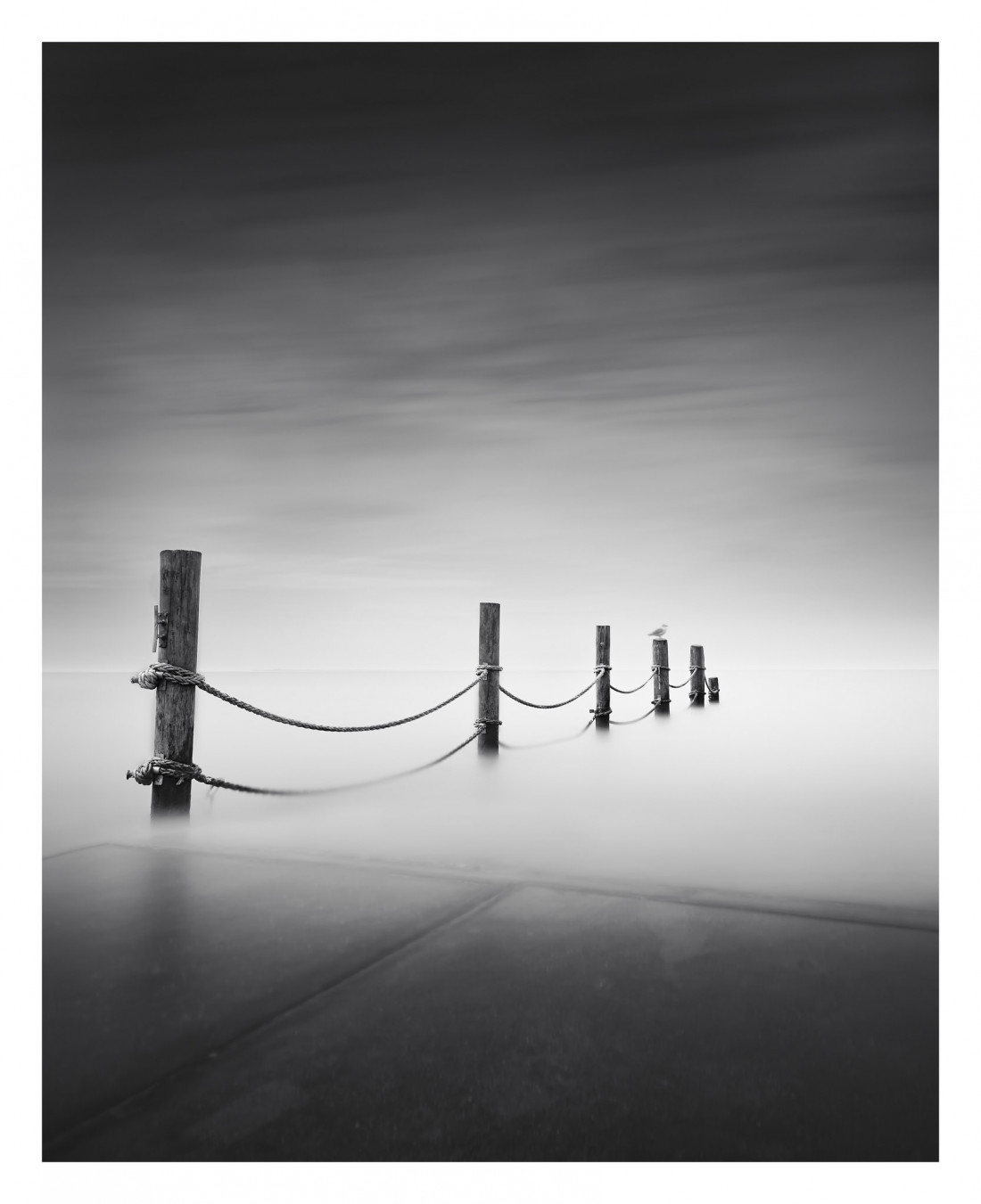 Marco Maljaars (flickr) Photo-Image