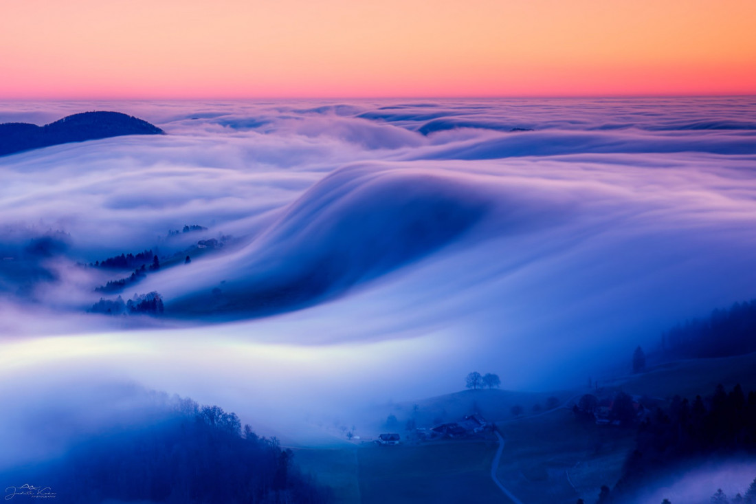 Flickr Image 1 Photo-Image