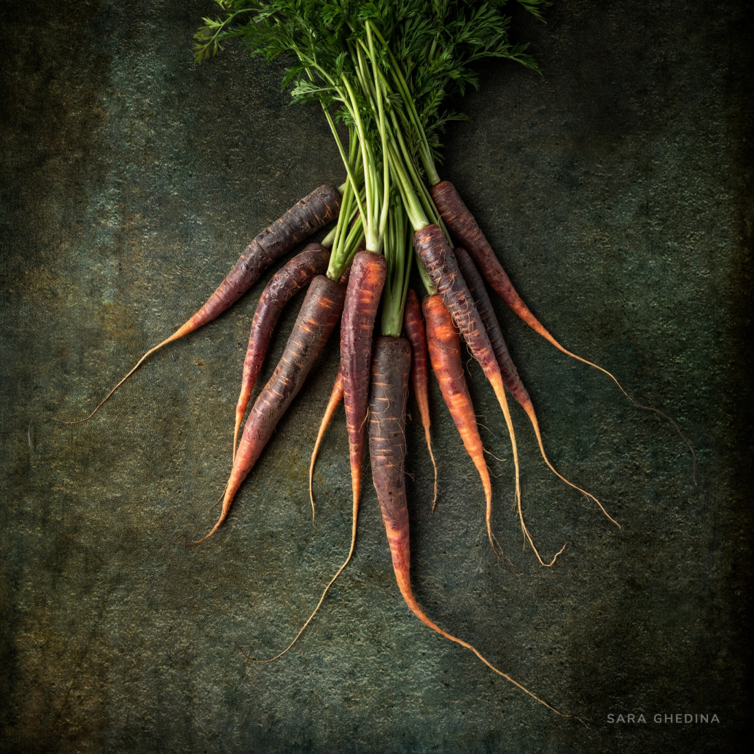 Sara Ghedina 1 Photo-Image