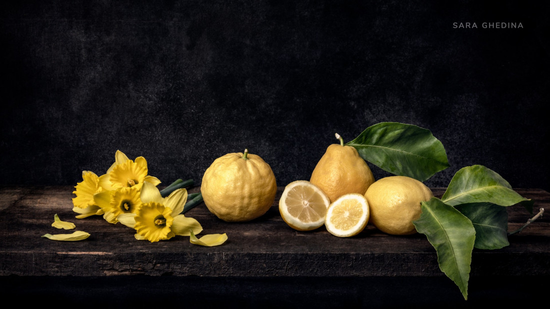 Sara Ghedina 1 Photo-Image