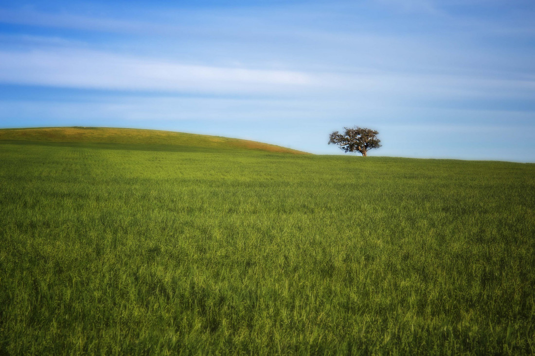 Neil Edwards Photo-Image