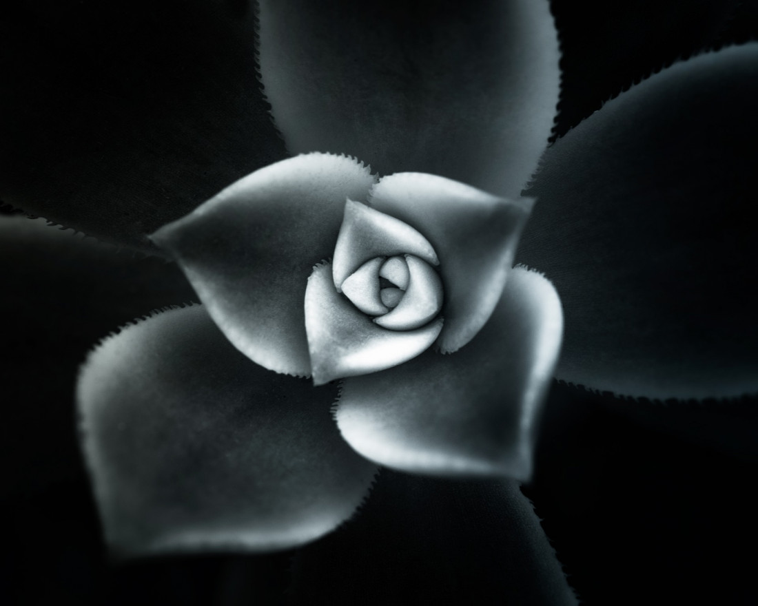 Sara Ghedina 2 Photo-Image