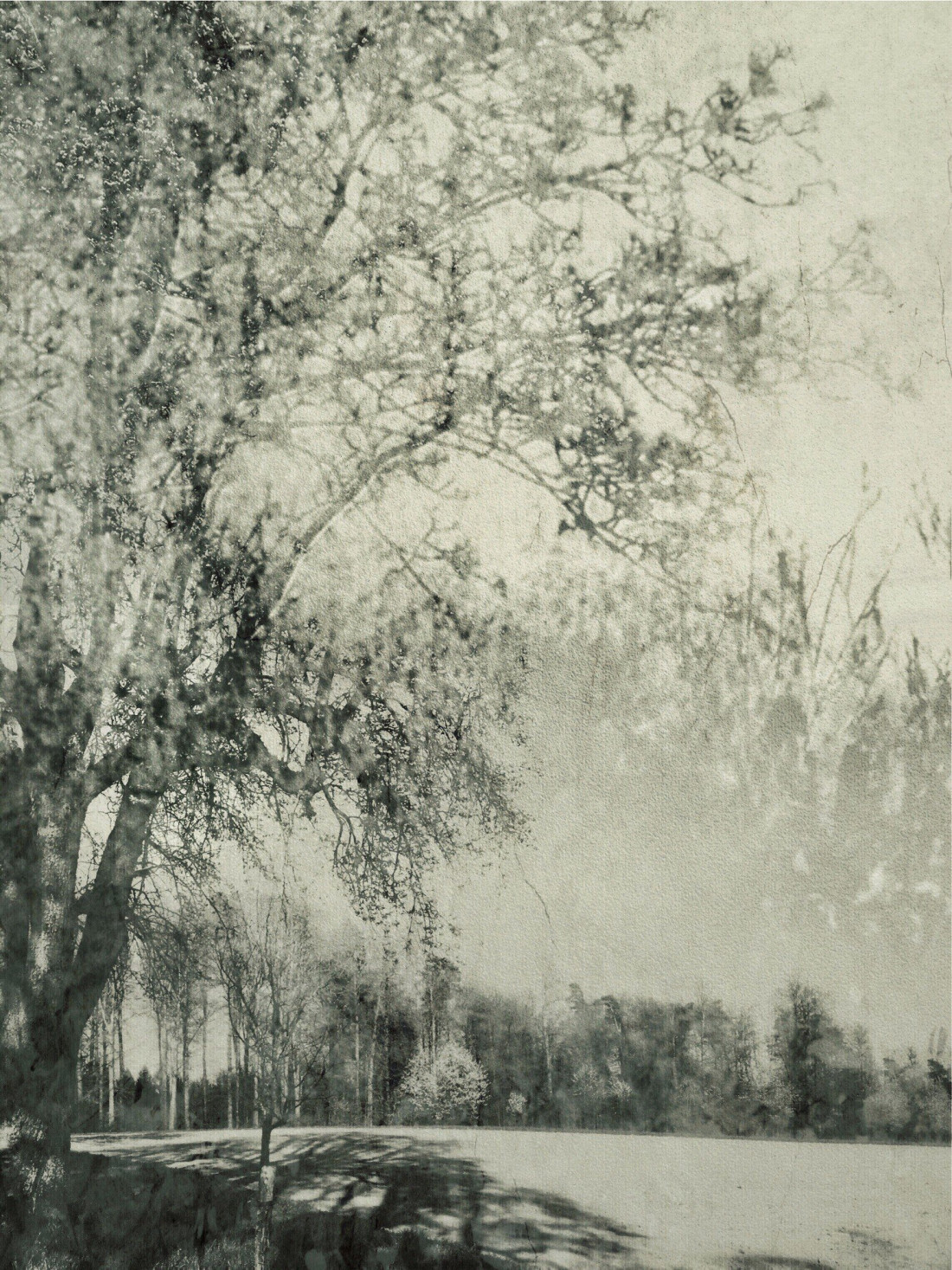 Eva Arendt Photo-Image