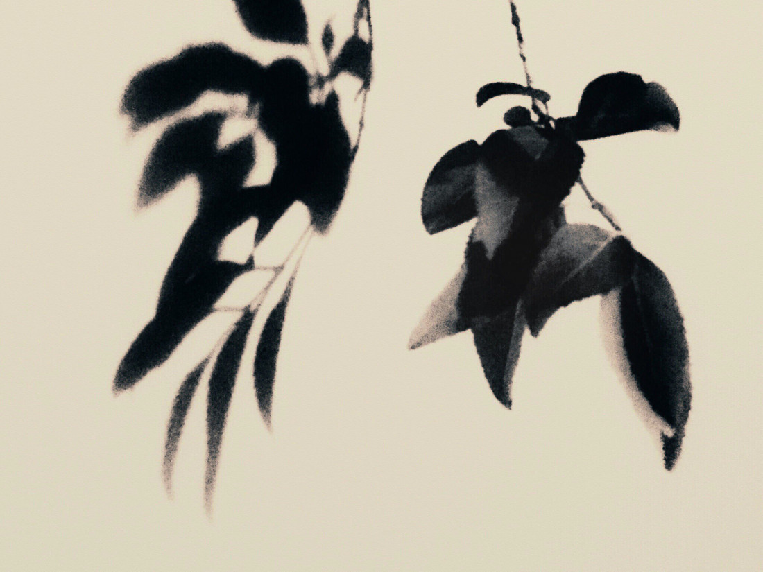 Eva Arendt Photo-Image