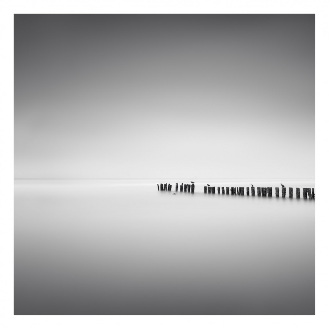 Marco Maljaars (flickr) Photo-Image