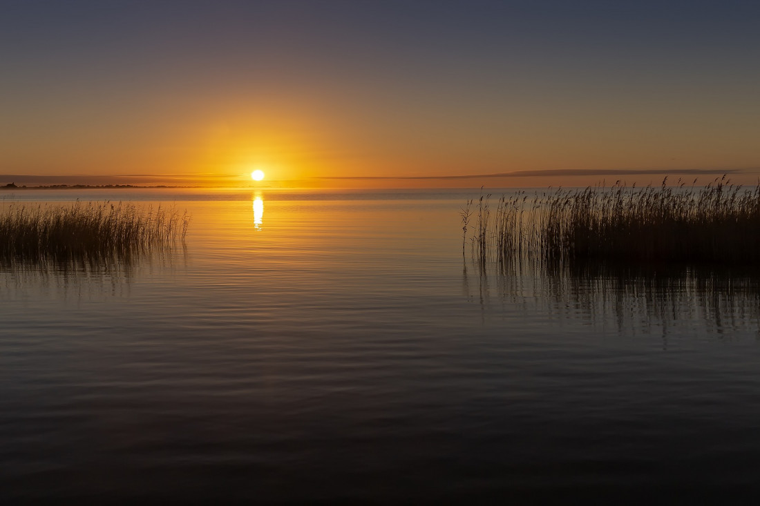 Neil Edwards Photo-Image