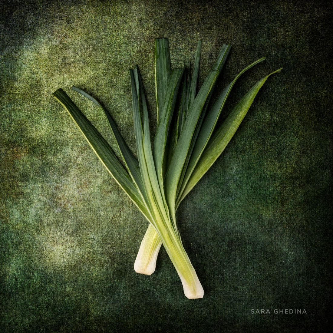 Sara Ghedina 1 Photo-Image