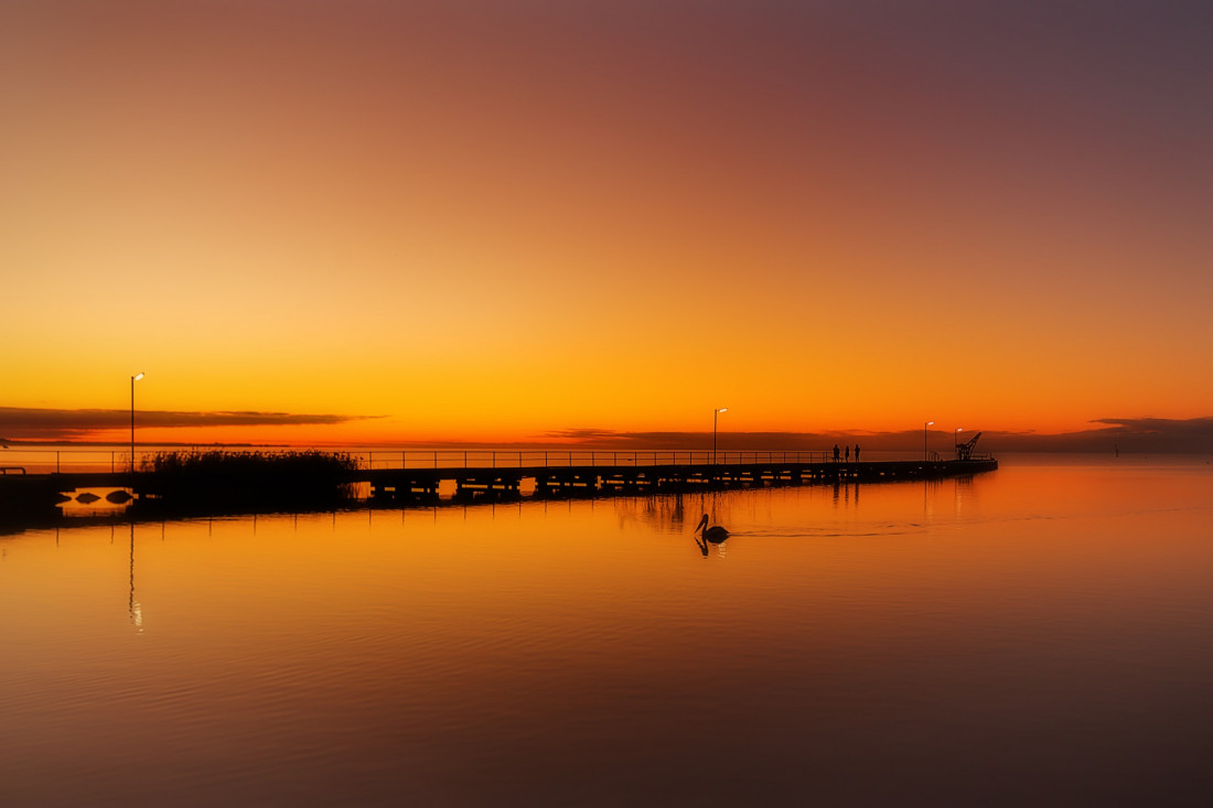 Neil Edwards Photo-Image