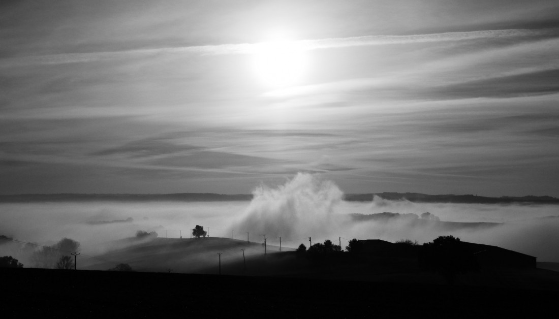 Under The Sign Of The White Rose Photo-Image