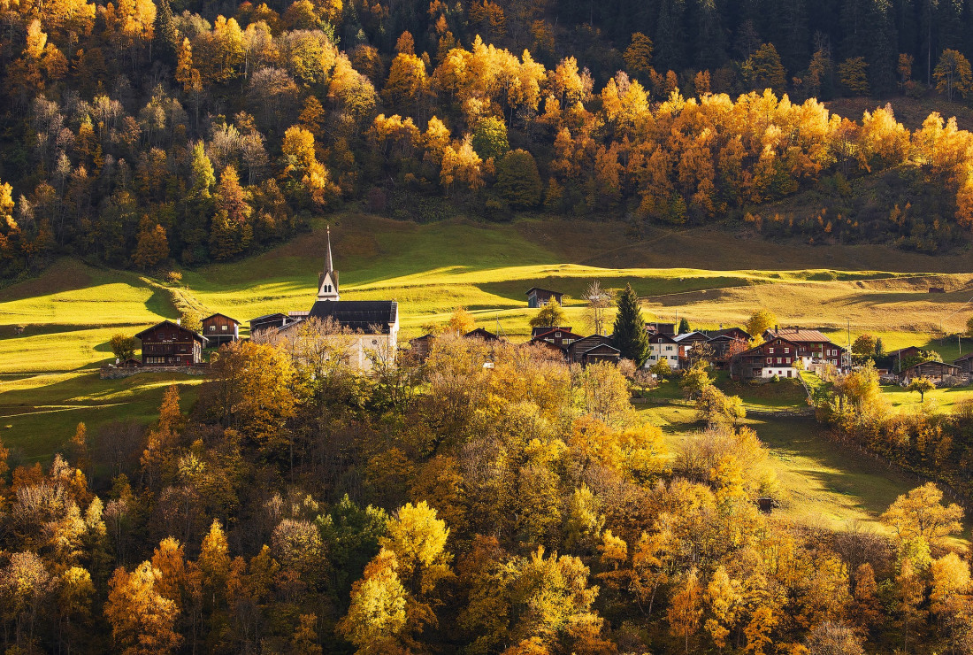 Alex Polli Photo-Image