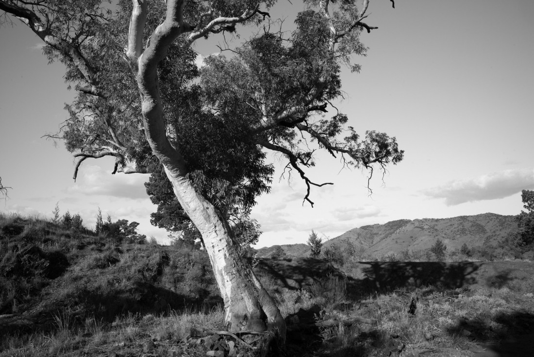 Chris Langlois Photo-Image