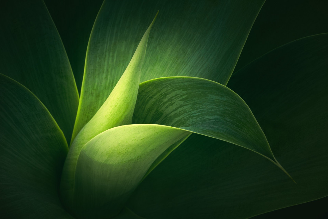 Sara Ghedina 2 Photo-Image