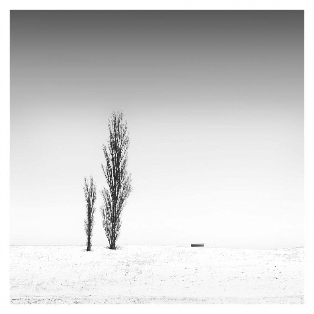 Marco Maljaars (flickr) Photo-Image