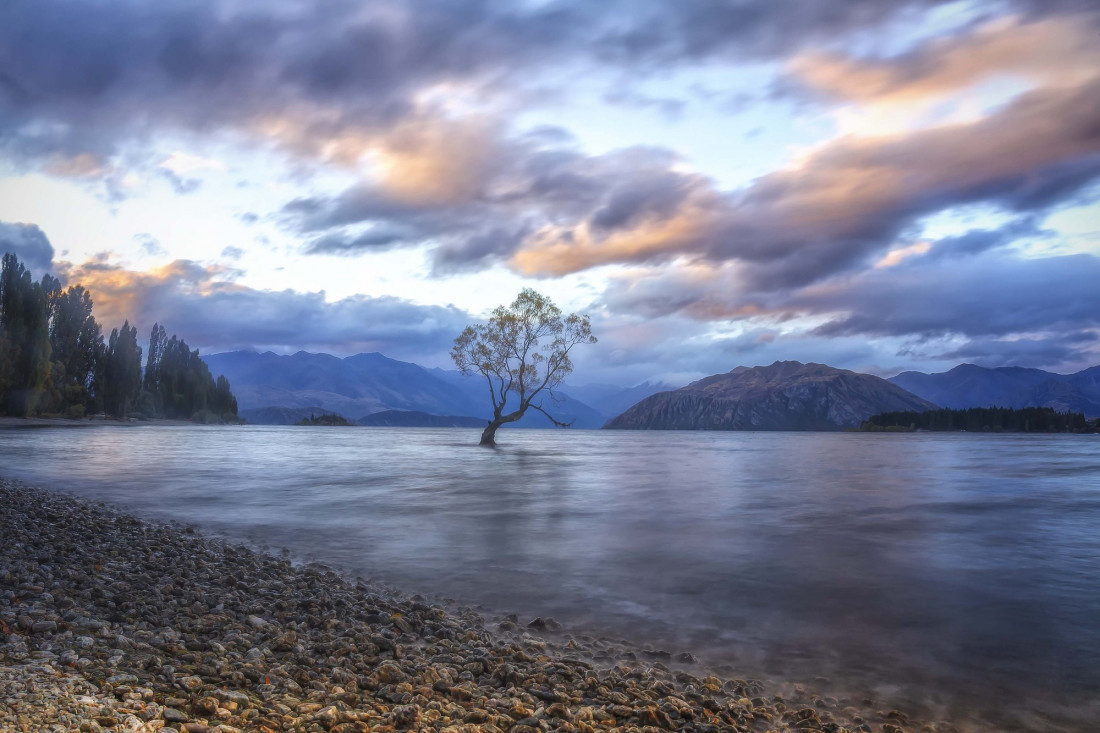 Neil Edwards Photo-Image