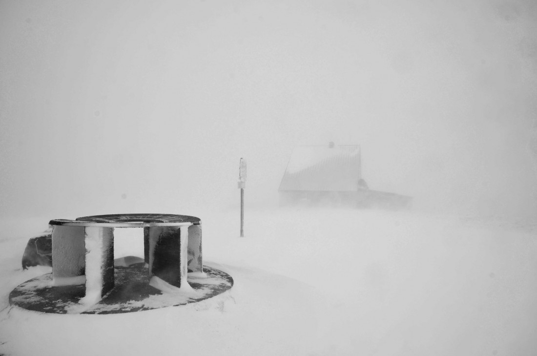 Under The Sign Of The White Rose Photo-Image