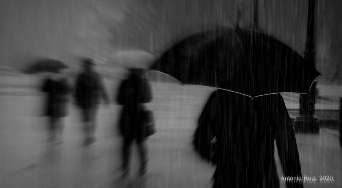 Under The Sign Of The White Rose Photo-Image