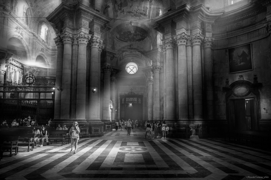 Under The Sign Of The White Rose Photo-Image