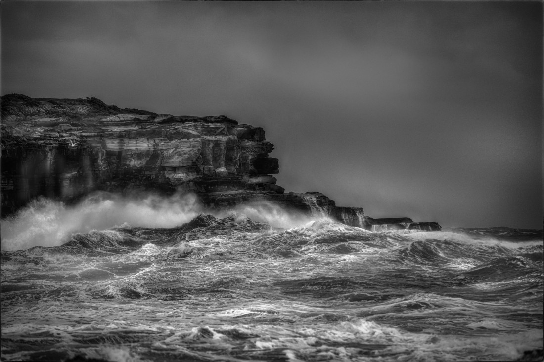 Under The Sign Of The White Rose Photo-Image