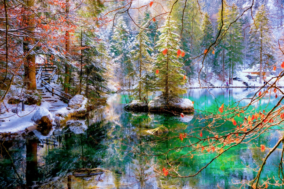 Sylvia Furrer 2 Photo-Image