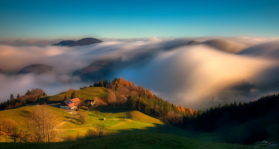 Flickr Image 1 Photo-Image