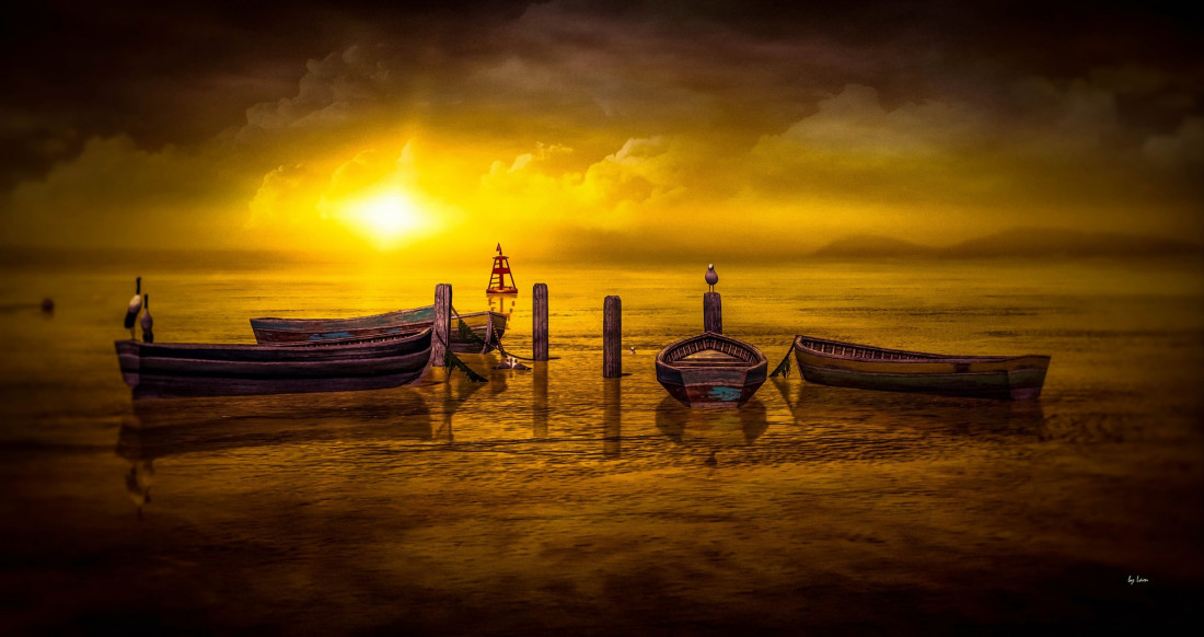 Lam Erin Photo-Image