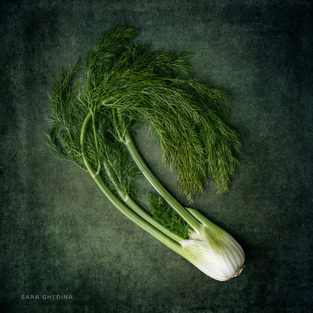 Sara Ghedina 1 Photo-Image