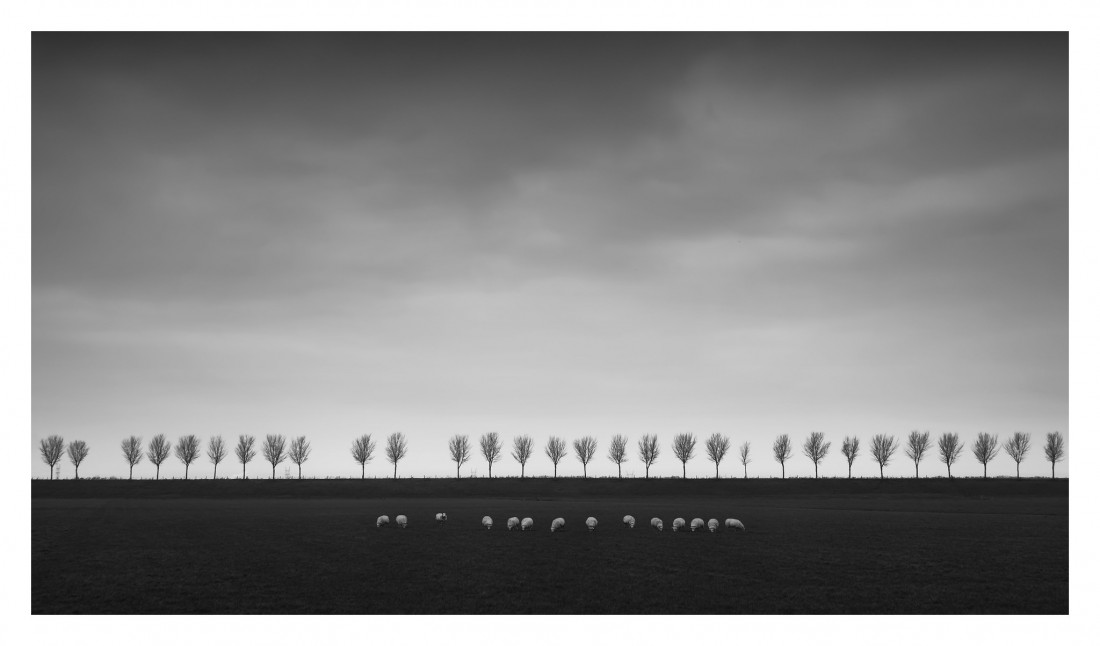 Marco Maljaars (flickr) Photo-Image