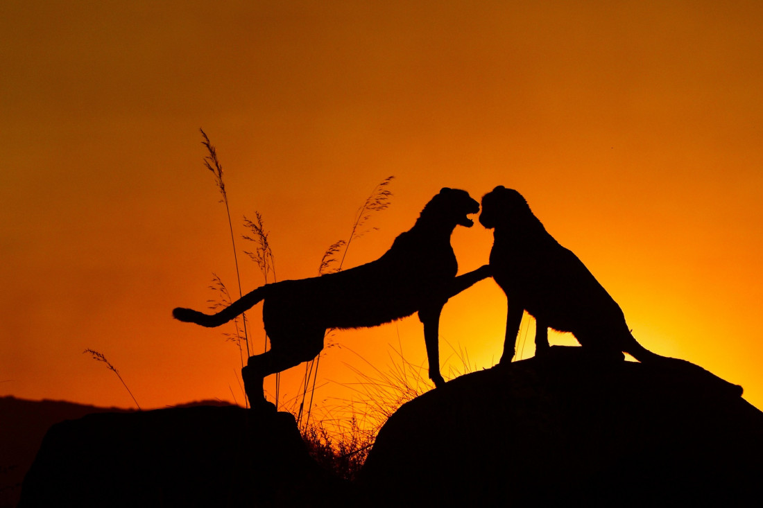 Sylvia Furrer 2 Photo-Image