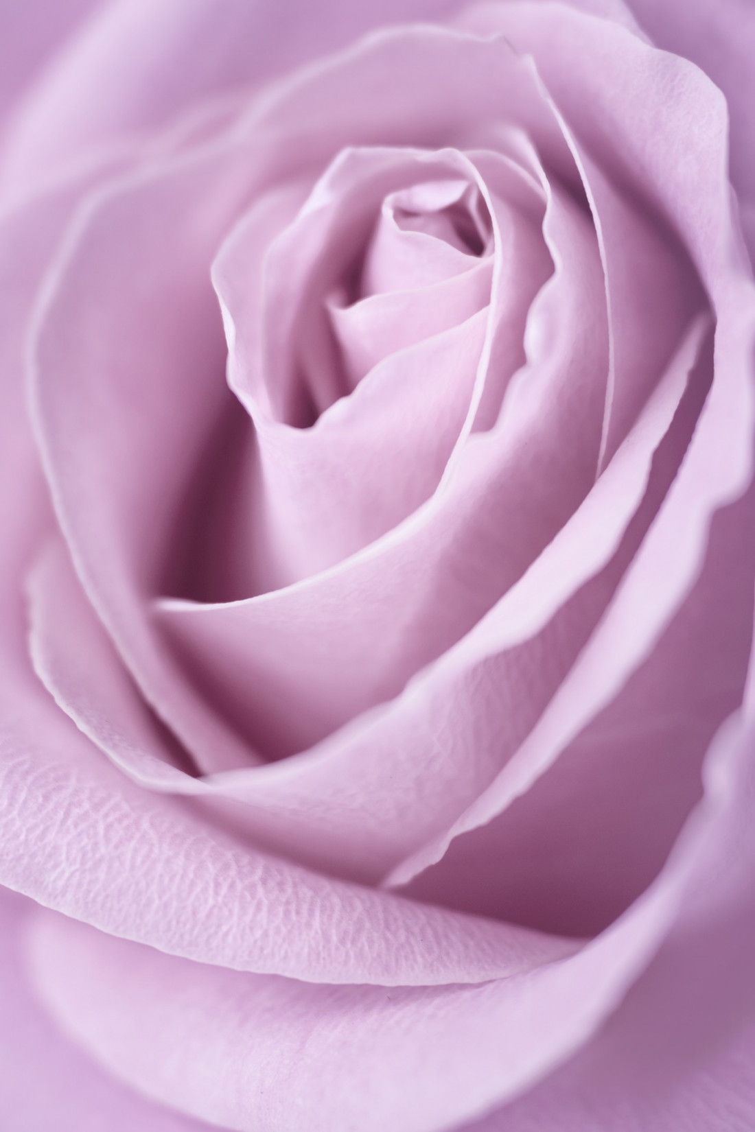 Sara Ghedina 2 Photo-Image