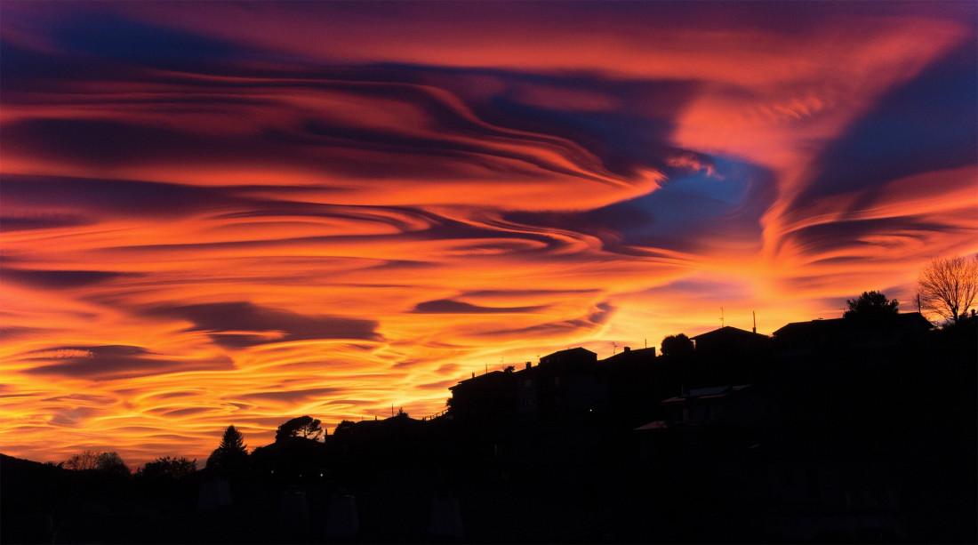 Alex Polli Photo-Image