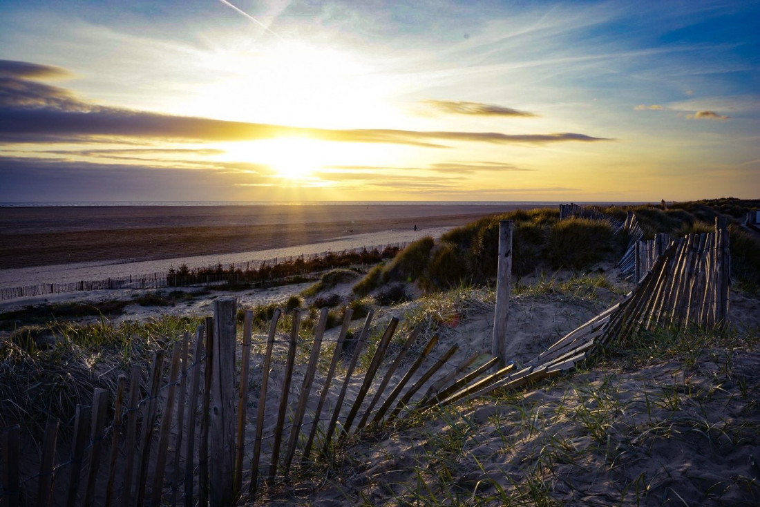 Flickr Image 1 Photo-Image