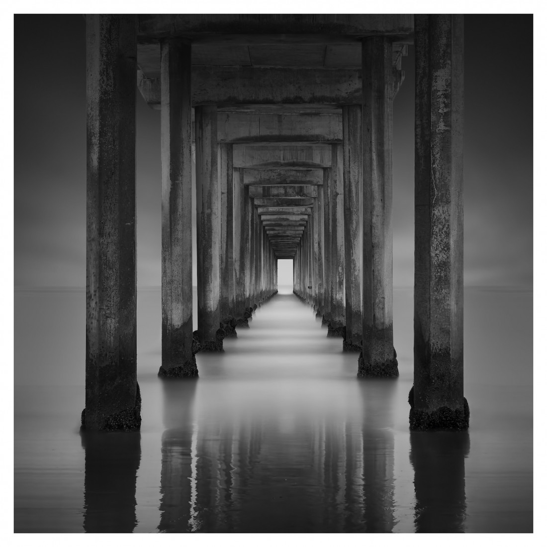 Marco Maljaars (flickr) Photo-Image