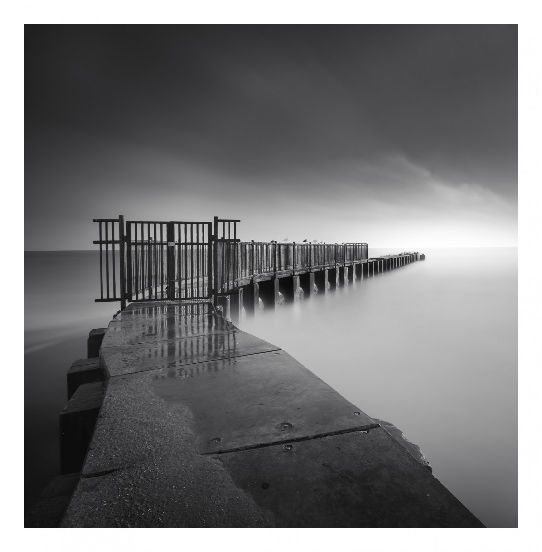 Marco Maljaars (flickr) Photo-Image