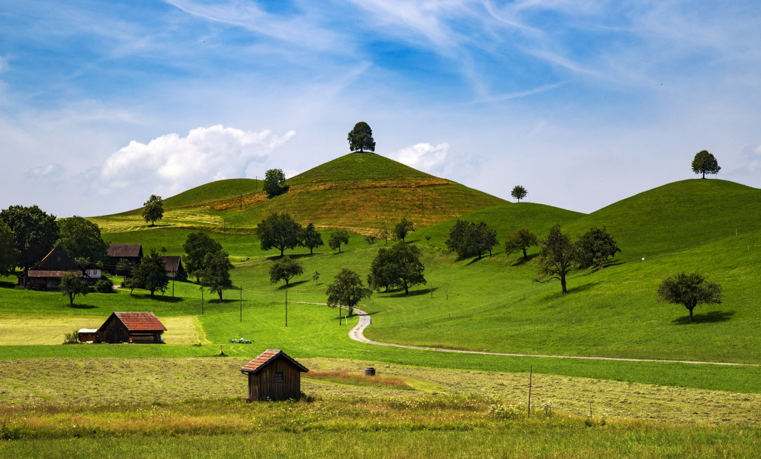 Alex Polli Photo-Image