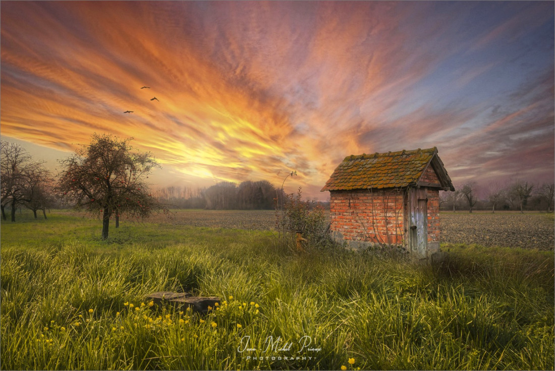 Flicker Image 3 Photo-Image