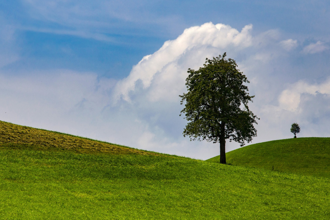 Alex Polli Photo-Image