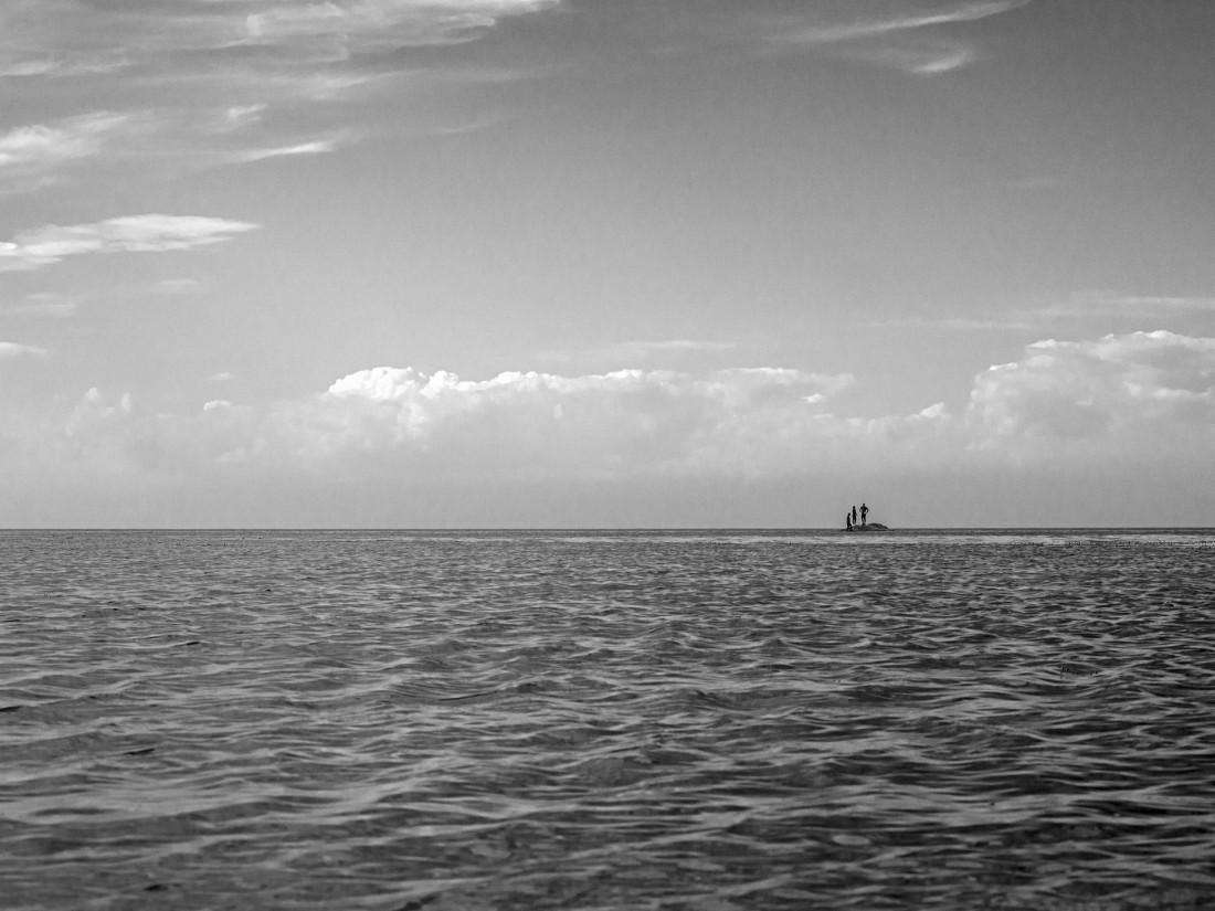 Under The Sign Of The White Rose Photo-Image