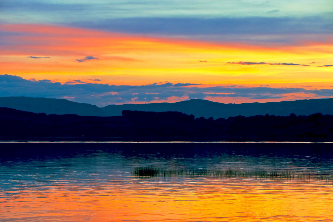 Sylvia Furrer Photo-Image